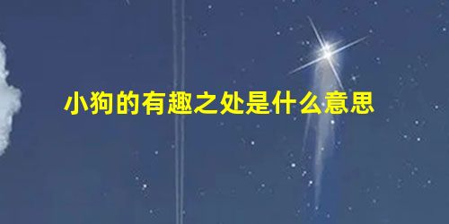 小狗的有趣之处是什么意思 小狗的有趣之处是什么意思