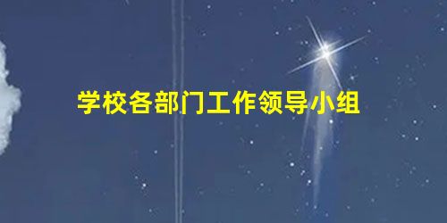 学校各部门工作领导小组 学校各部门工作领导小组