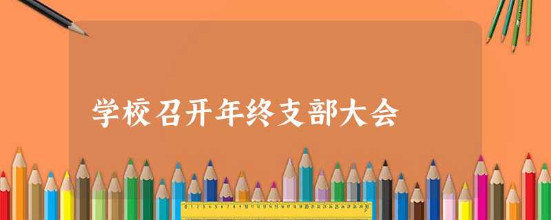 学校召开年终支部大会 学校召开年终支部大会
