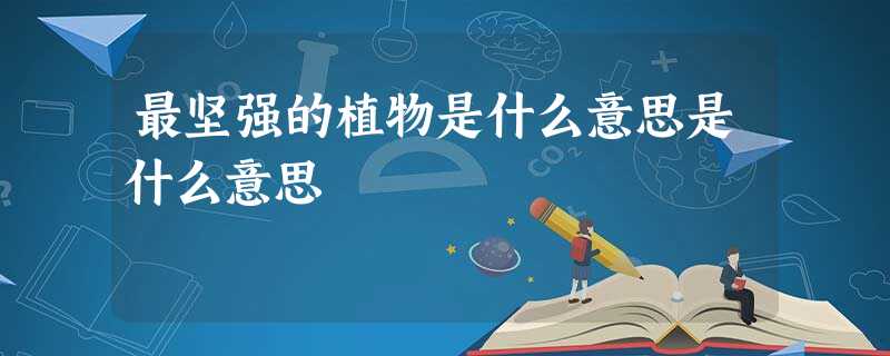 最坚强的植物是什么意思是什么意思 最坚强的植物是什么意思是什么意思