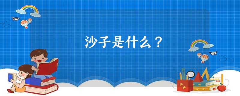 沙子是什么？