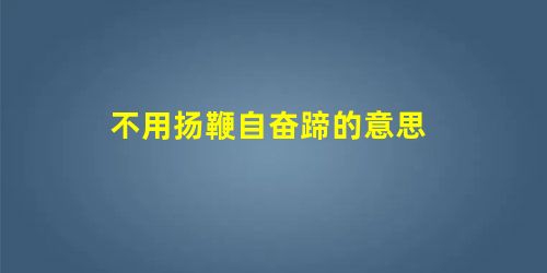 不用扬鞭自奋蹄的意思 不用扬鞭自奋蹄的意思