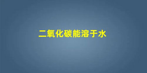 二氧化碳能溶于水 二氧化碳能溶于水