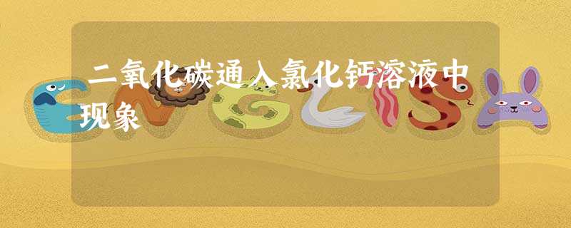 二氧化碳通入氯化钙溶液中现象