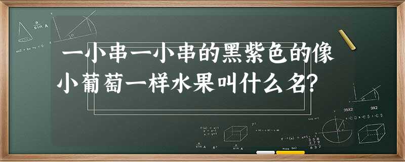 一小串一小串的黑紫色的像小葡萄一样水果叫什么名? 一小串一小串的黑紫色的像小葡萄一样水果叫什么名?