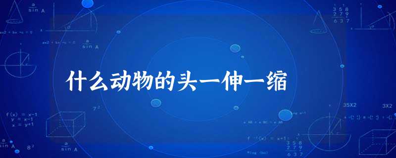什么动物的头一伸一缩 什么动物的头一伸一缩