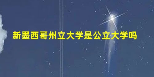 新墨西哥州立大学是公立大学吗 新墨西哥州立大学是公立大学吗