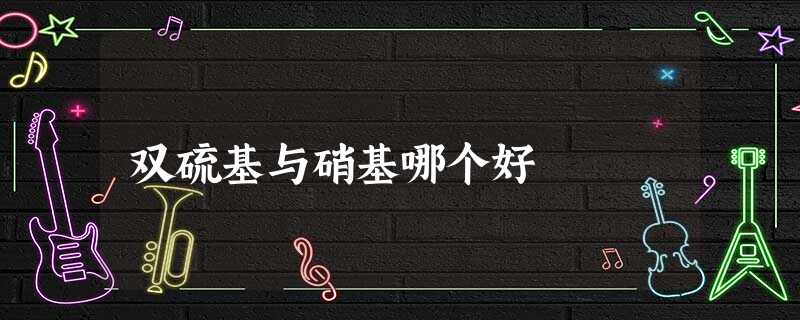 双硫基与硝基哪个好 双硫基与硝基哪个好