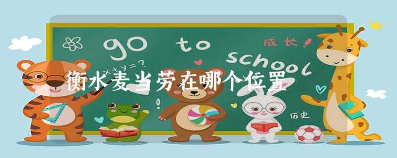 衡水麦当劳在哪个位置 衡水麦当劳在哪个位置