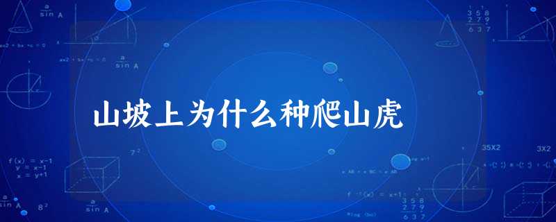 山坡上为什么种爬山虎 山坡上为什么种爬山虎