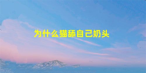 为什么猫舔自己奶头 为什么猫舔自己奶头