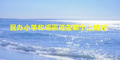 民办小学和培训班去哪个上班好 民办小学和培训班去哪个上班好