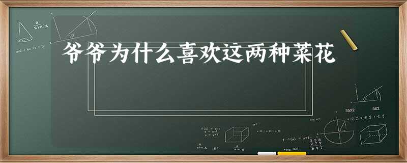 爷爷为什么喜欢这两种菜花 爷爷为什么喜欢这两种菜花