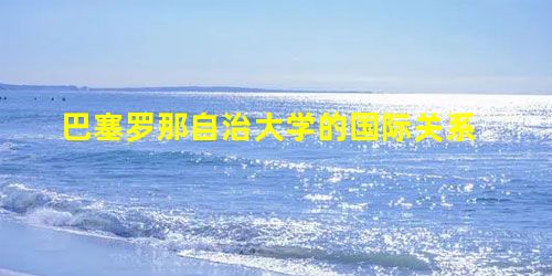 巴塞罗那自治大学的国际关系 巴塞罗那自治大学的国际关系