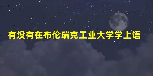 有没有在布伦瑞克工业大学学上语言班的同学 有没有在布伦瑞克工业大学学上语言班的同学