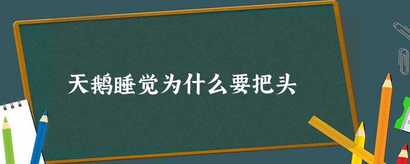 天鹅睡觉为什么要把头 天鹅睡觉为什么要把头