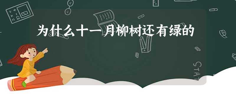 为什么十一月柳树还有绿的 为什么十一月柳树还有绿的