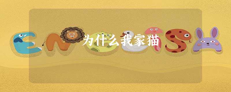 为什么我家猫 为什么我家猫