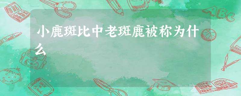 小鹿斑比中老斑鹿被称为什么 小鹿斑比中老斑鹿被称为什么