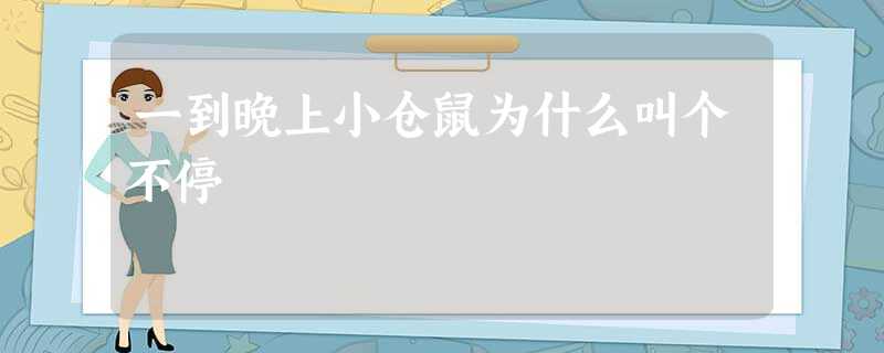 一到晚上小仓鼠为什么叫个不停 一到晚上小仓鼠为什么叫个不停