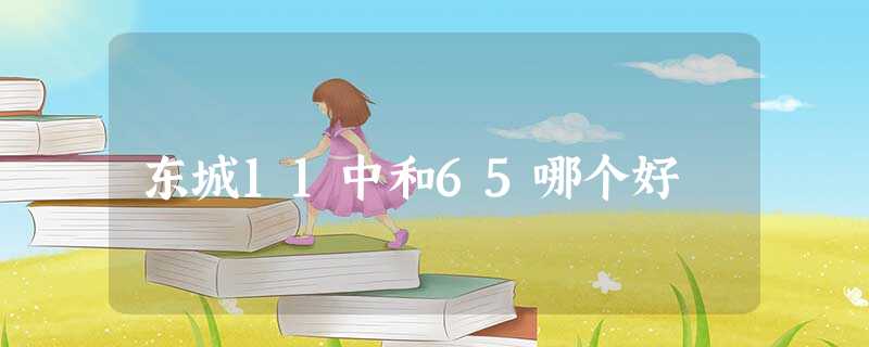 东城11中和65哪个好 东城11中和65哪个好