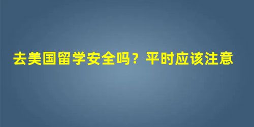 去美国留学安全吗?平时应该注意哪些方面 去美国留学安全吗?平时应该注意哪些方面