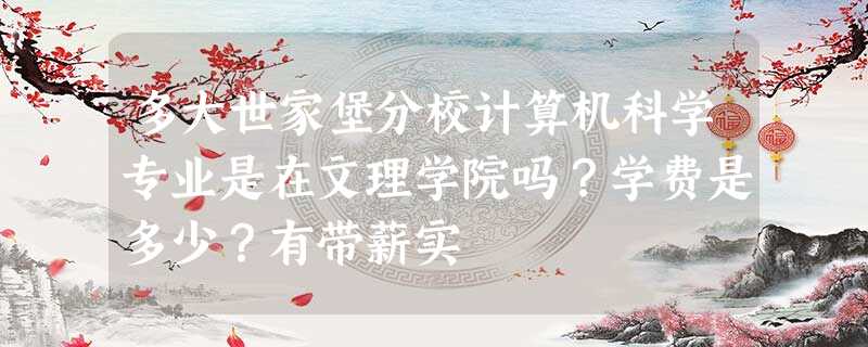 多大世家堡分校计算机科学专业是在文理学院吗?学费是多少?有带薪实 多大世家堡分校计算机科学专业是在文理学院吗?学费是多少?有带薪实