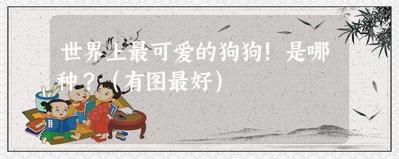 世界上最可爱的狗狗!是哪种?(有图最好) 世界上最可爱的狗狗!是哪种?(有图最好)