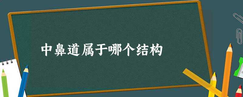 中鼻道属于哪个结构 中鼻道属于哪个结构