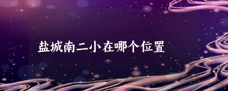 盐城南二小在哪个位置 盐城南二小在哪个位置