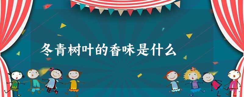 冬青树叶的香味是什么 冬青树叶的香味是什么