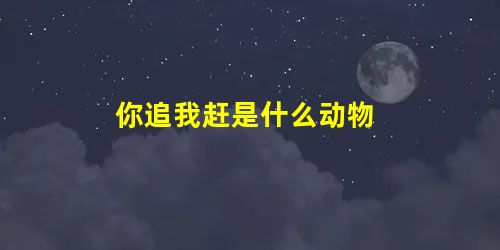 你追我赶是什么动物 你追我赶是什么动物