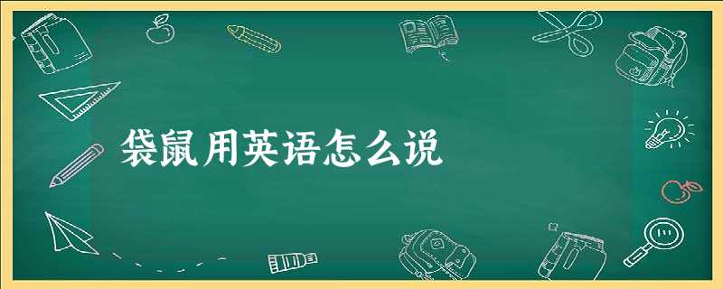 袋鼠用英语怎么说 袋鼠用英语怎么说