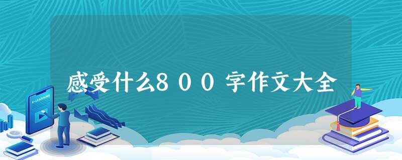 感受什么800字作文大全 感受什么800字作文大全