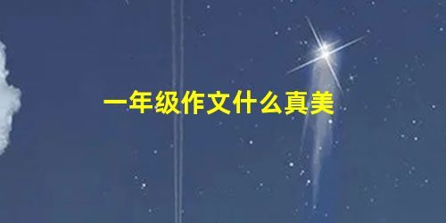 一年级作文什么真美 一年级作文什么真美