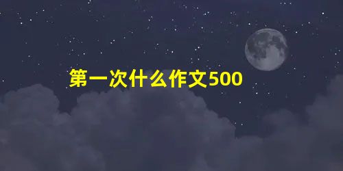 第一次什么作文500 第一次什么作文500