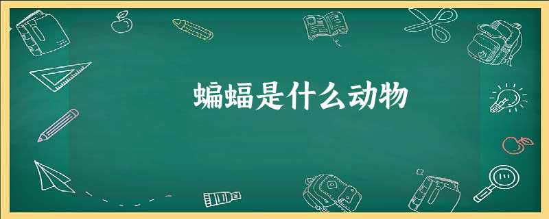 蝙蝠是什么动物 蝙蝠是什么动物