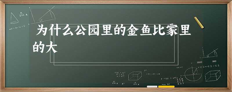 为什么公园里的金鱼比家里的大 为什么公园里的金鱼比家里的大