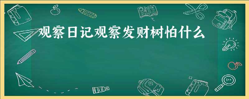 观察日记观察发财树怕什么 观察日记观察发财树怕什么