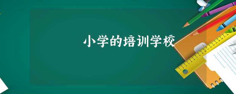 小学的培训学校 小学的培训学校