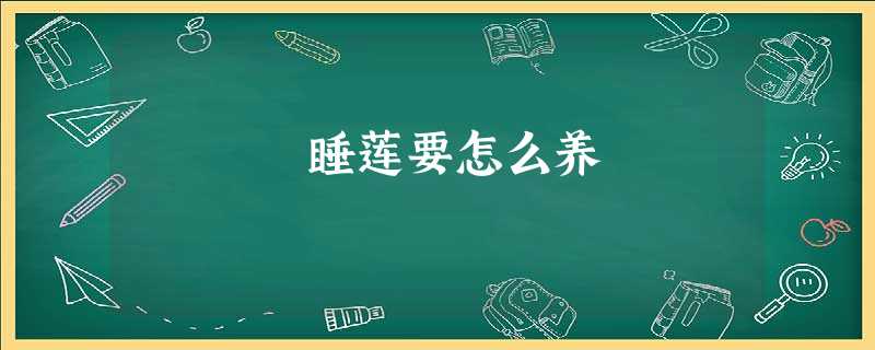 睡莲要怎么养 睡莲要怎么养