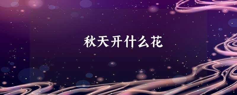 秋天开什么花 秋天开什么花