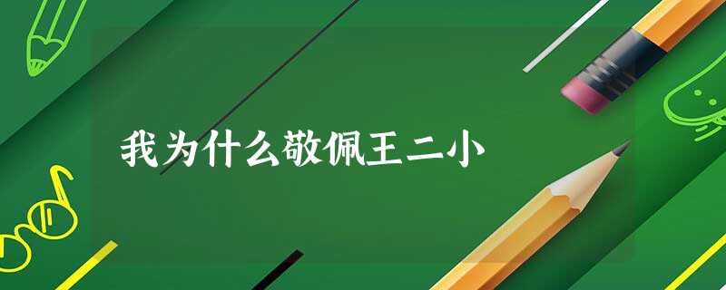 我为什么敬佩王二小 我为什么敬佩王二小