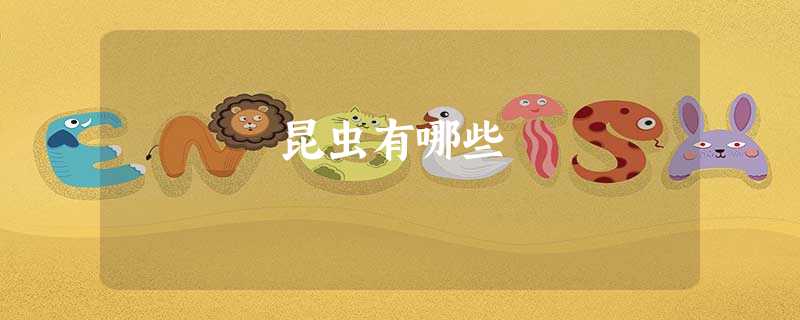 昆虫有哪些 昆虫有哪些