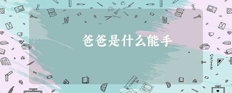 爸爸是什么能手 爸爸是什么能手