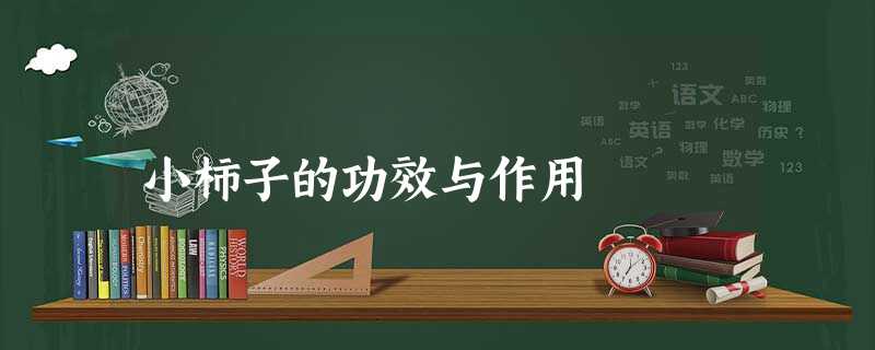 小柿子的功效与作用 小柿子的功效与作用