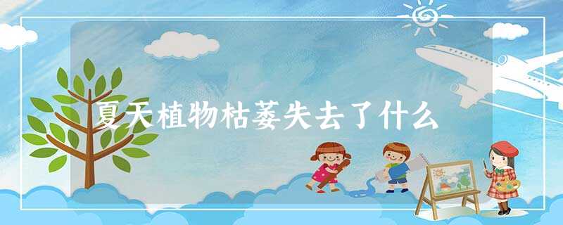 夏天植物枯萎失去了什么 夏天植物枯萎失去了什么