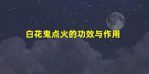 白花鬼点火的功效与作用 白花鬼点火的功效与作用