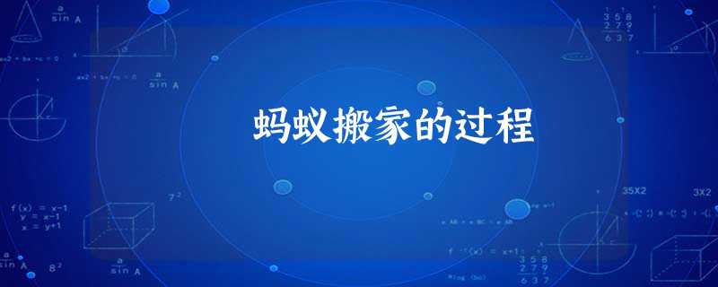 蚂蚁搬家的过程 蚂蚁搬家的过程