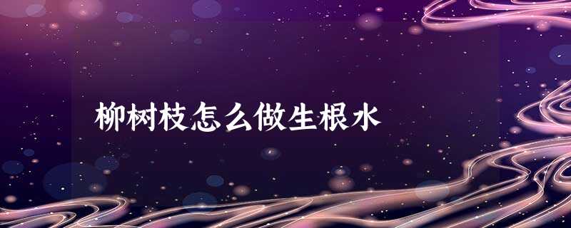 柳树枝怎么做生根水 柳树枝怎么做生根水